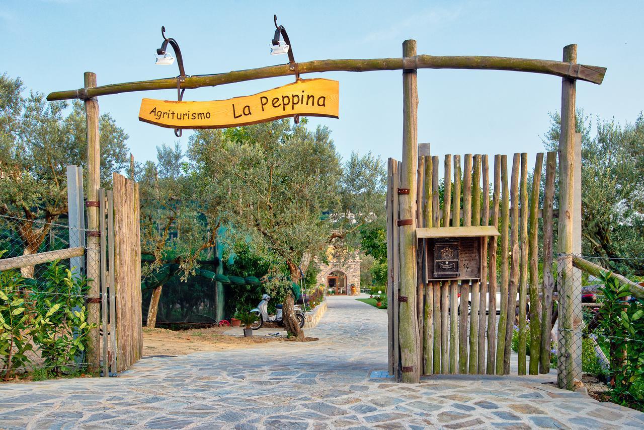 Agriturismo La Peppina Massa Lubrense Exterior foto